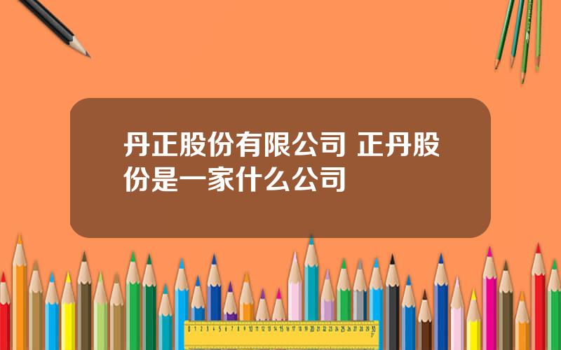 丹正股份有限公司 正丹股份是一家什么公司